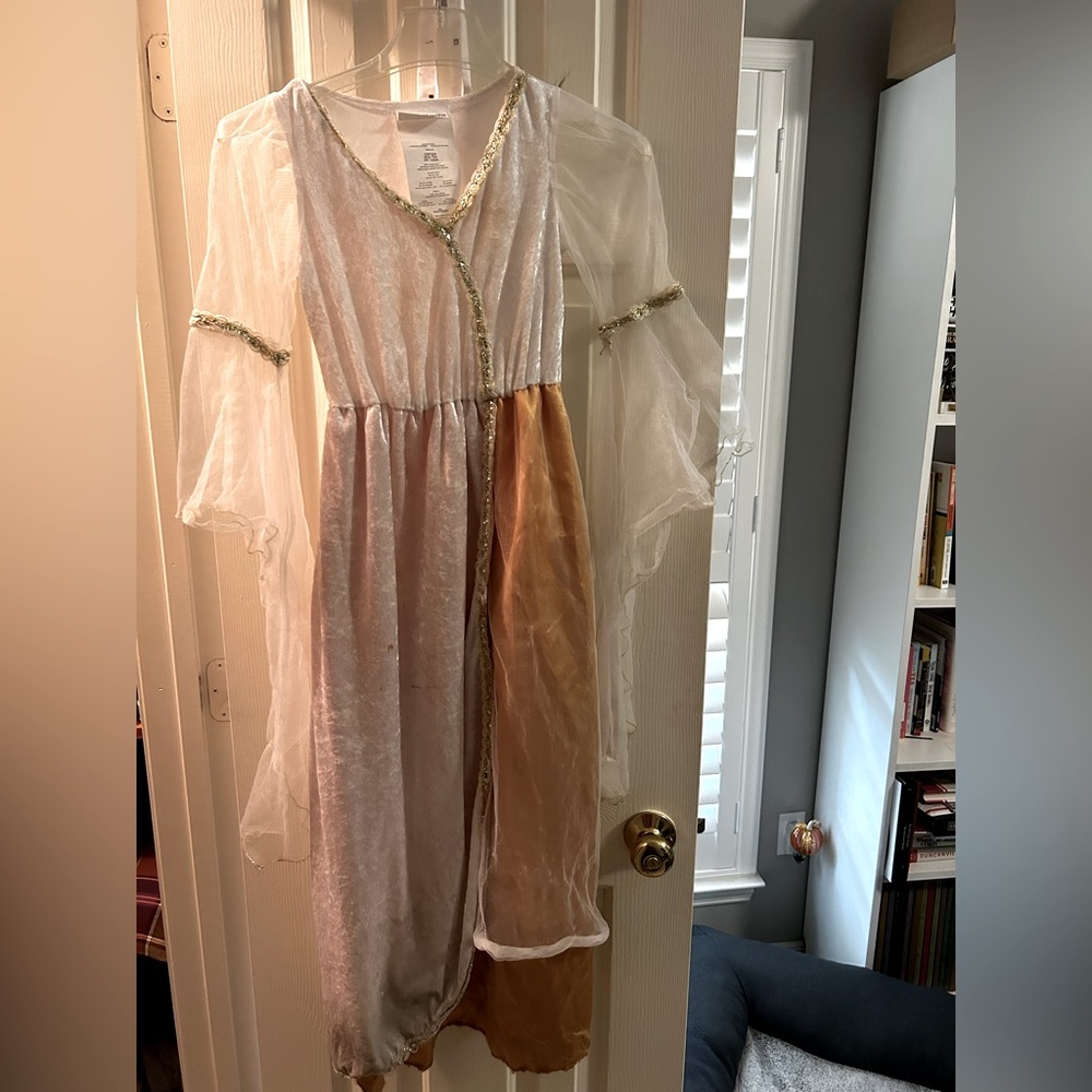 Girls Renaissance Dress